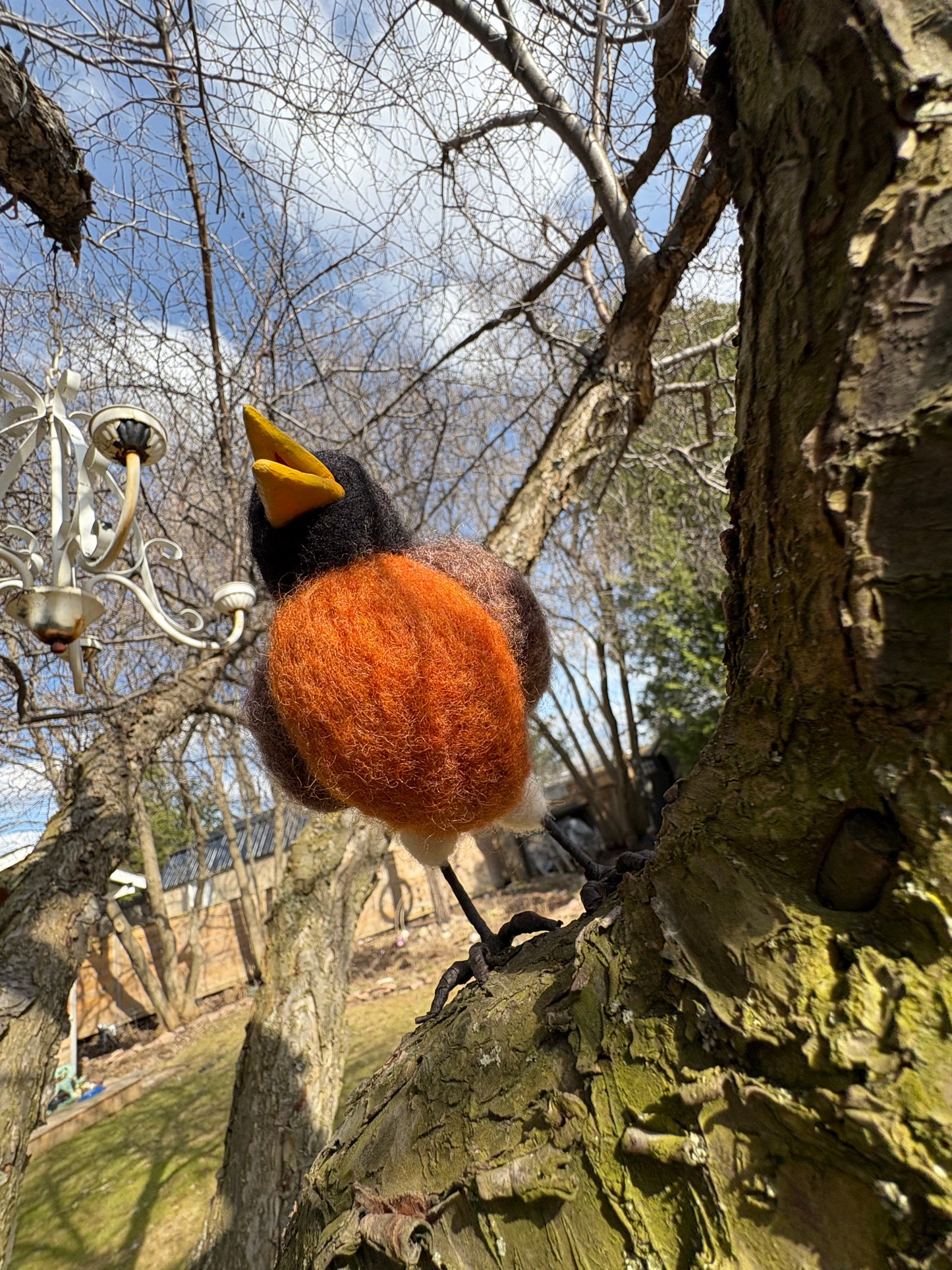 American Robin Bird Felted