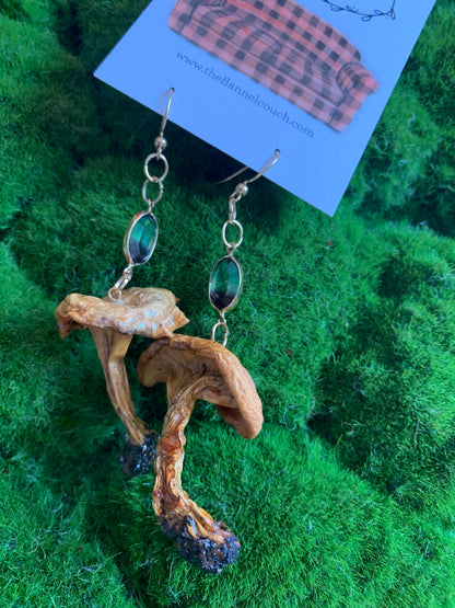 Wild Ontario Mushrooms Earrings