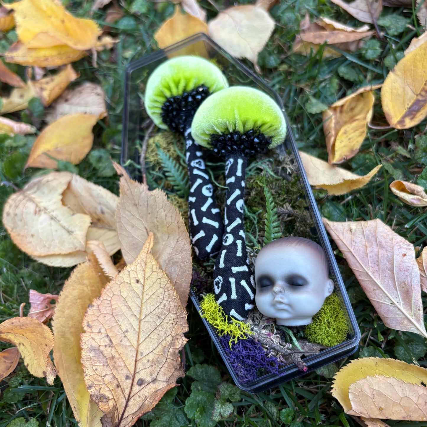 BFF 🍄 🍄 Box Set - Prints